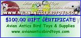 aviananticsGift Certificate PTA